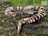 Articulated Ball Python