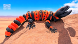Banded Gila monster