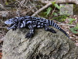 Tegu