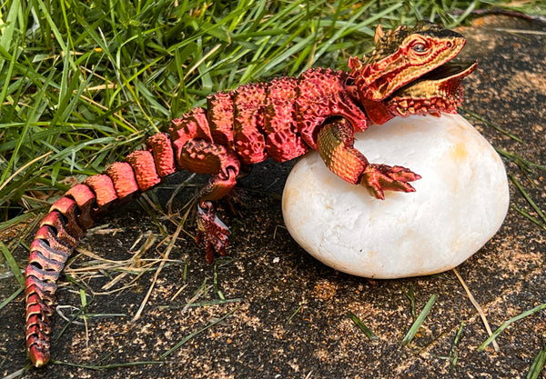 Bearded Dragon