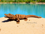Color Changing Gator
