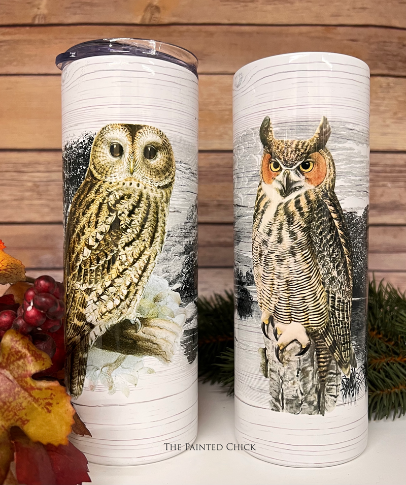 Owl Skinny Tumblers